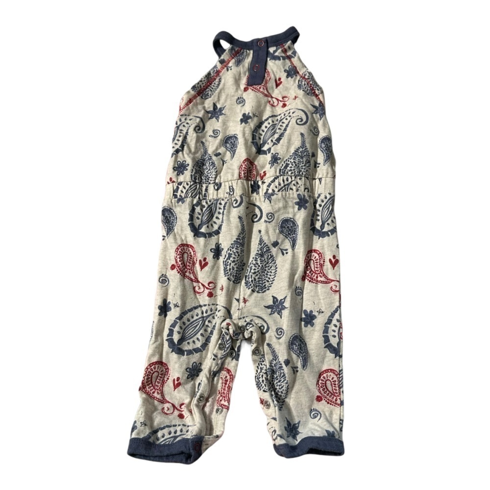 Burt's Bee Baby girl size 3-6 months romper